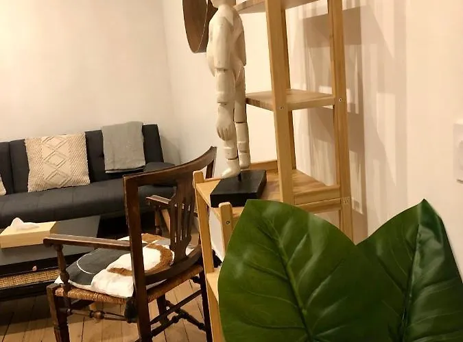 Rare D'architecte En De Montmartre Apartment